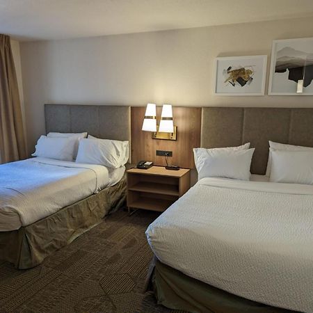 Staybridge Suites Allentown Airport Lehigh Valley By Ihg Kültér fotó